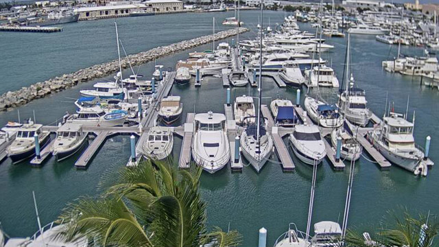 Galleon Marina Cam